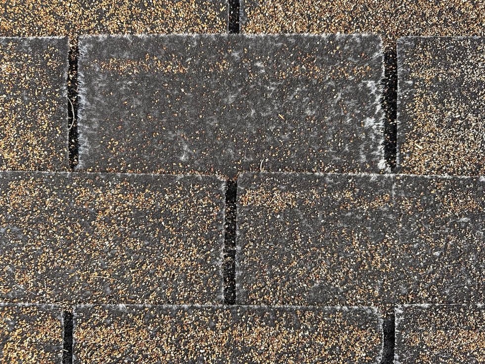Old Aging Roof Needing Care Old Aging Roof Needing Care