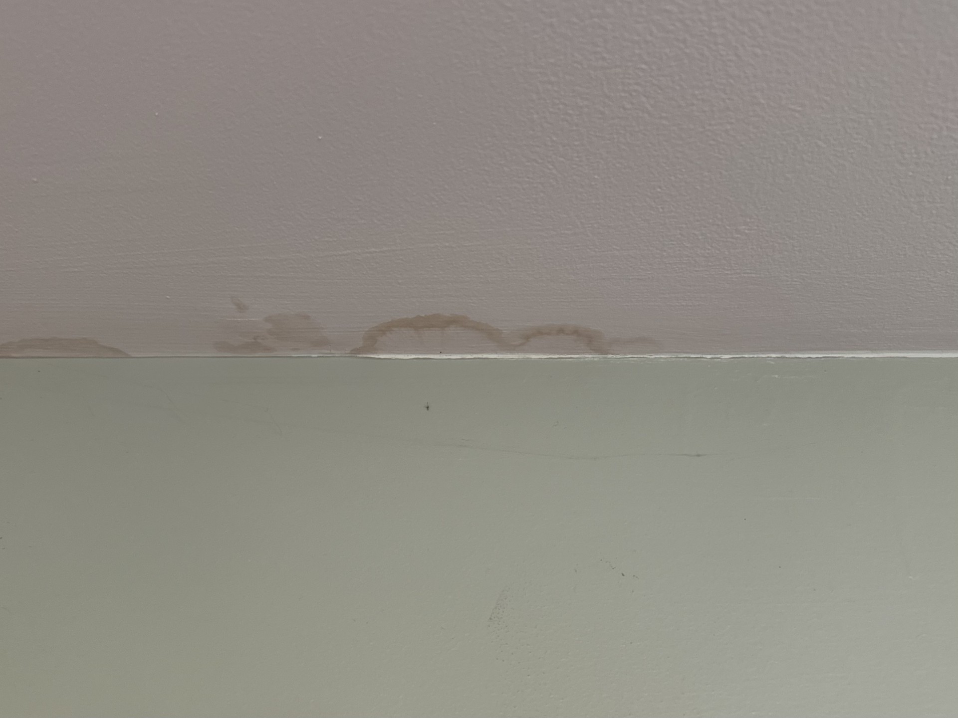 Water Stains on Ceiling Water Stains on Ceiling